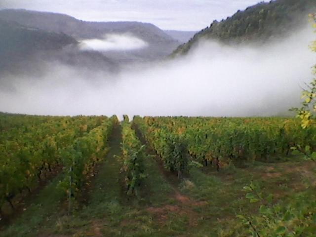 Maison Isolee Dans Les Vignes Et Les Bois Valady Екстер'єр фото