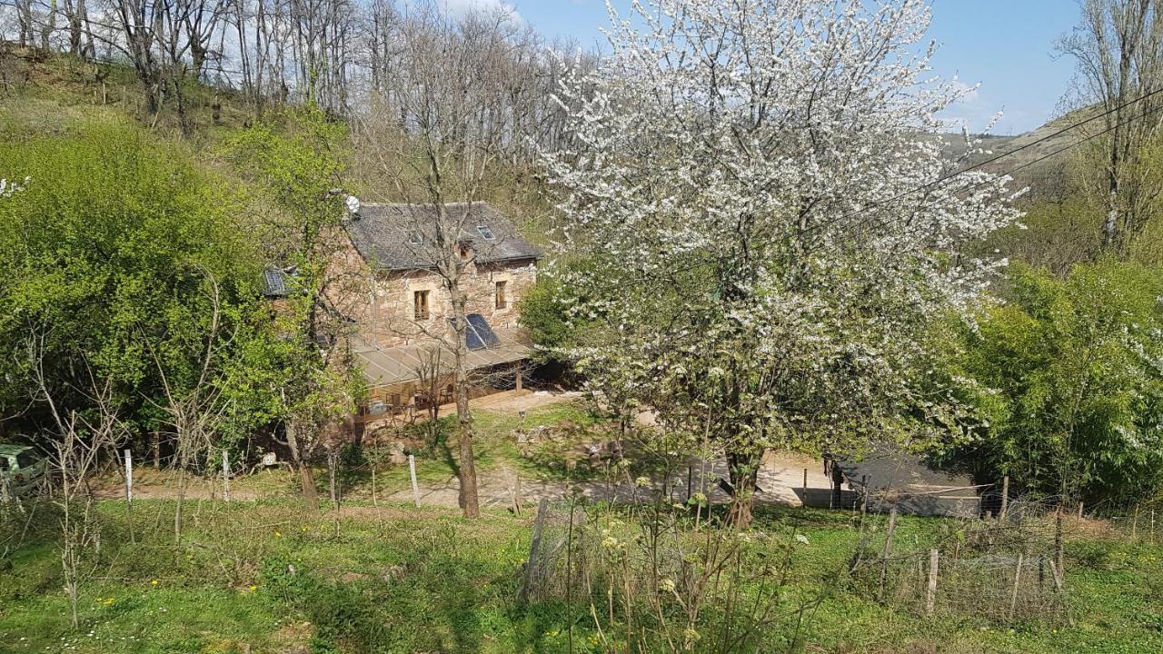 Maison Isolee Dans Les Vignes Et Les Bois Valady Екстер'єр фото