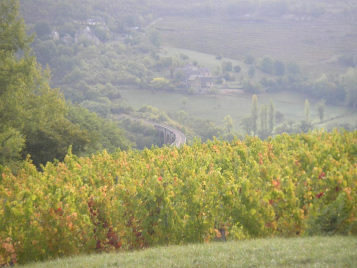 Maison Isolee Dans Les Vignes Et Les Bois Valady Екстер'єр фото