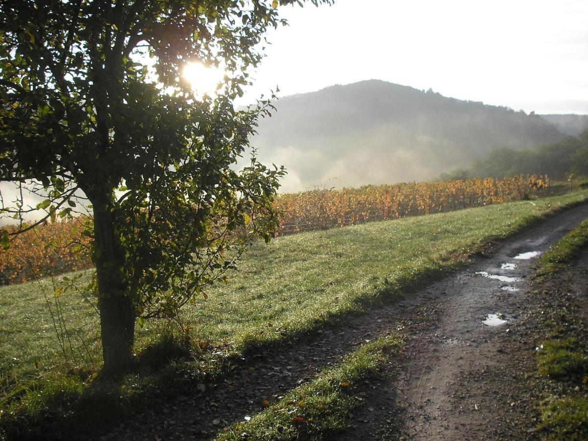 Maison Isolee Dans Les Vignes Et Les Bois Valady Екстер'єр фото
